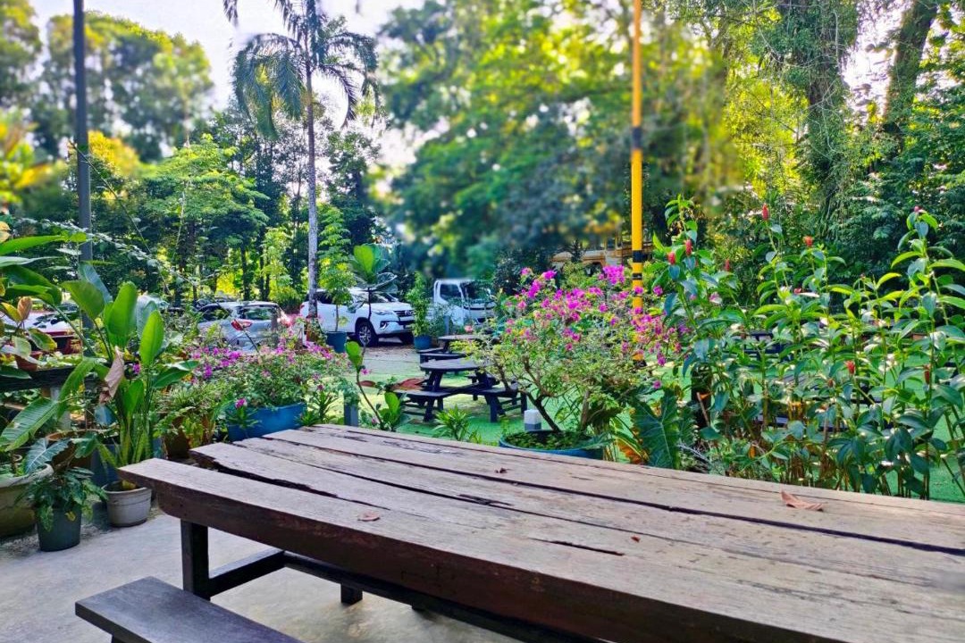 Photo of Others in Kuching