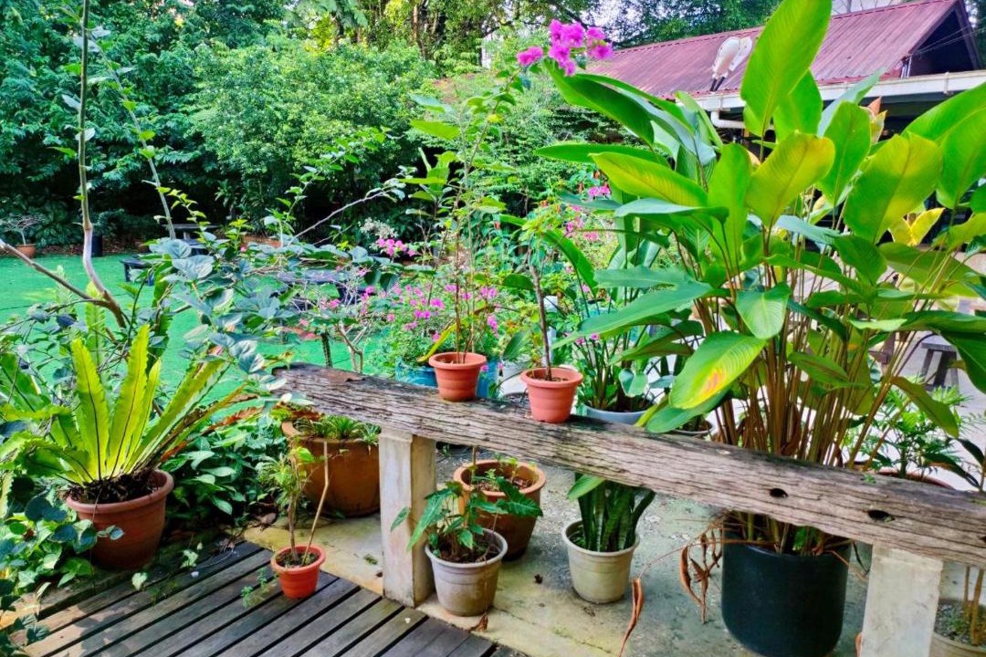 Photo of Others in Kuching