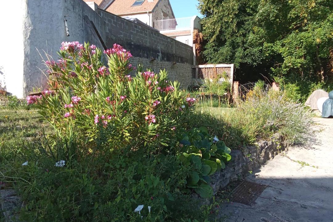 Photo of Others in Liancourt-Saint-Pierre