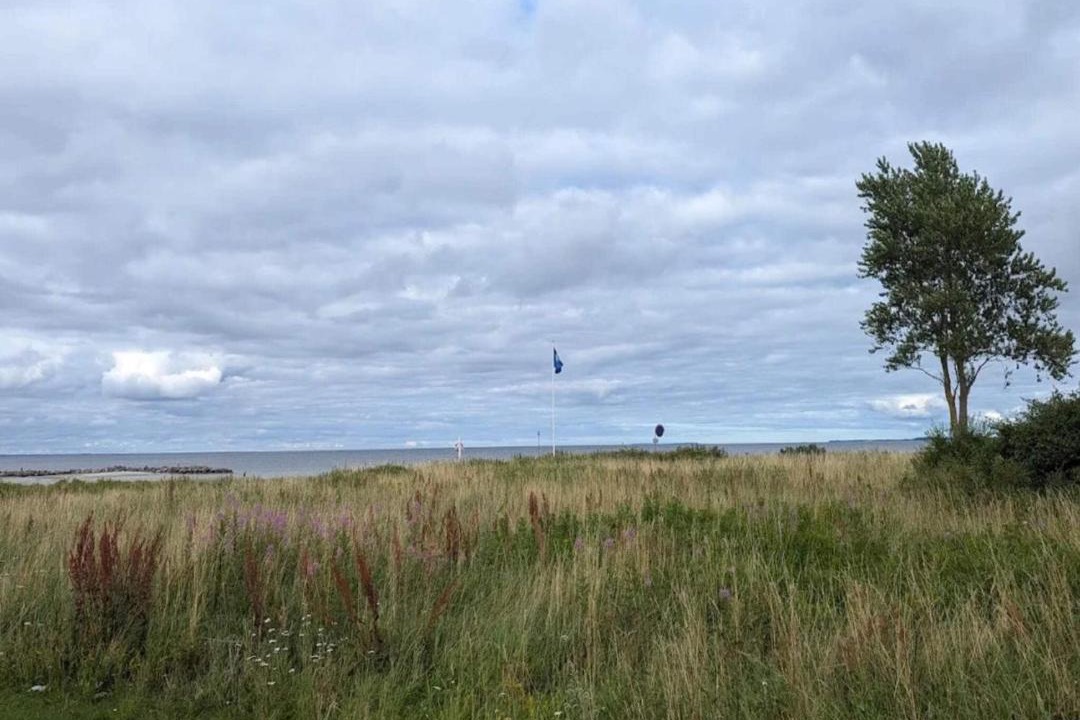Photo of Others in Vejlby Fed
