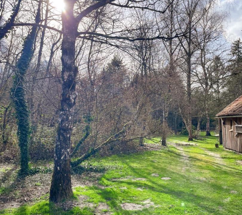 Photo of Others in Chaumont-sur-Tharonne