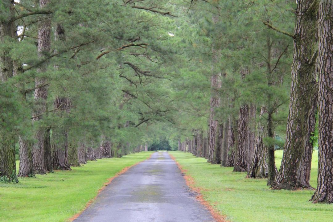 Photo of Others in Easton