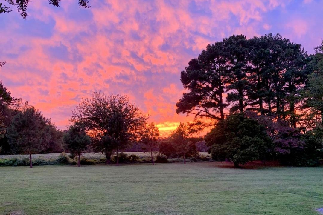 Photo of Others in Easton