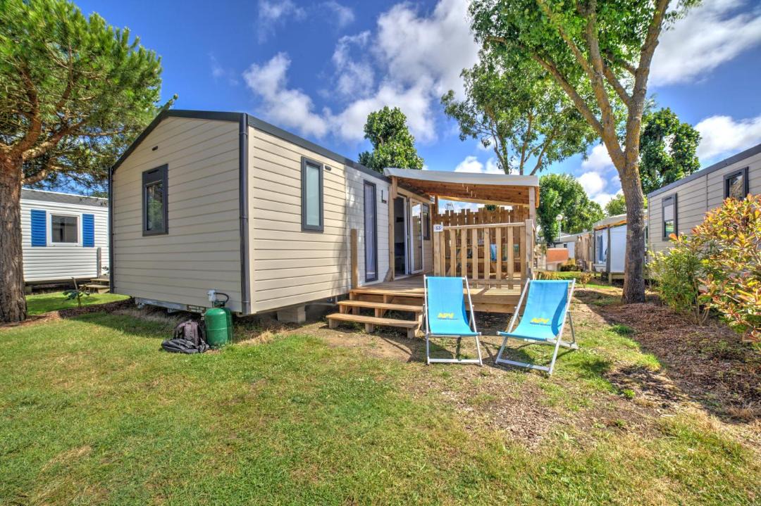 Photo of Others in Domino