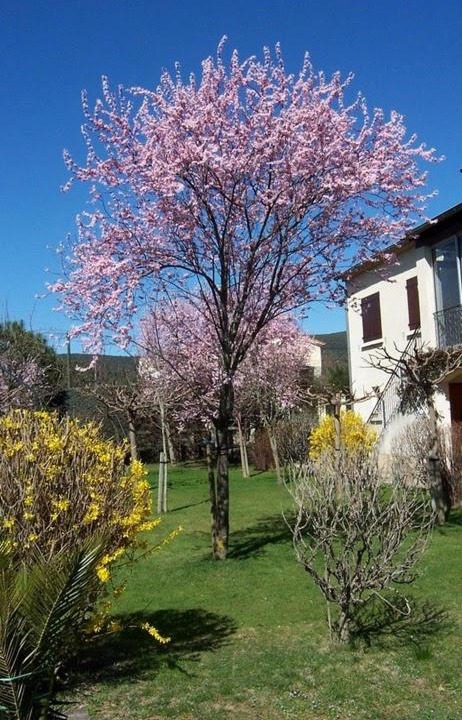 Photo of Outdoor in Laroque