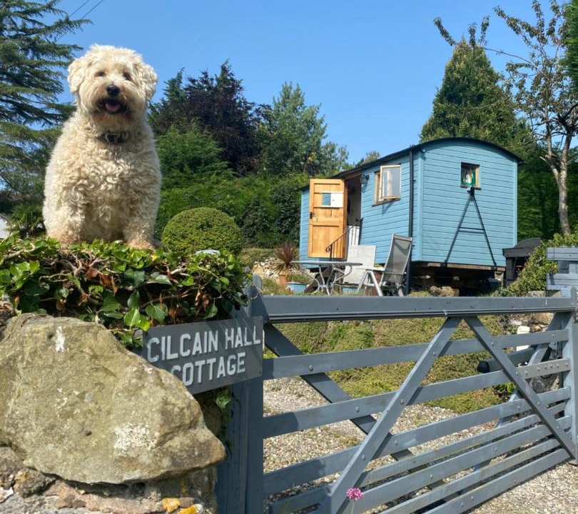 Photo of Others in Cilcain