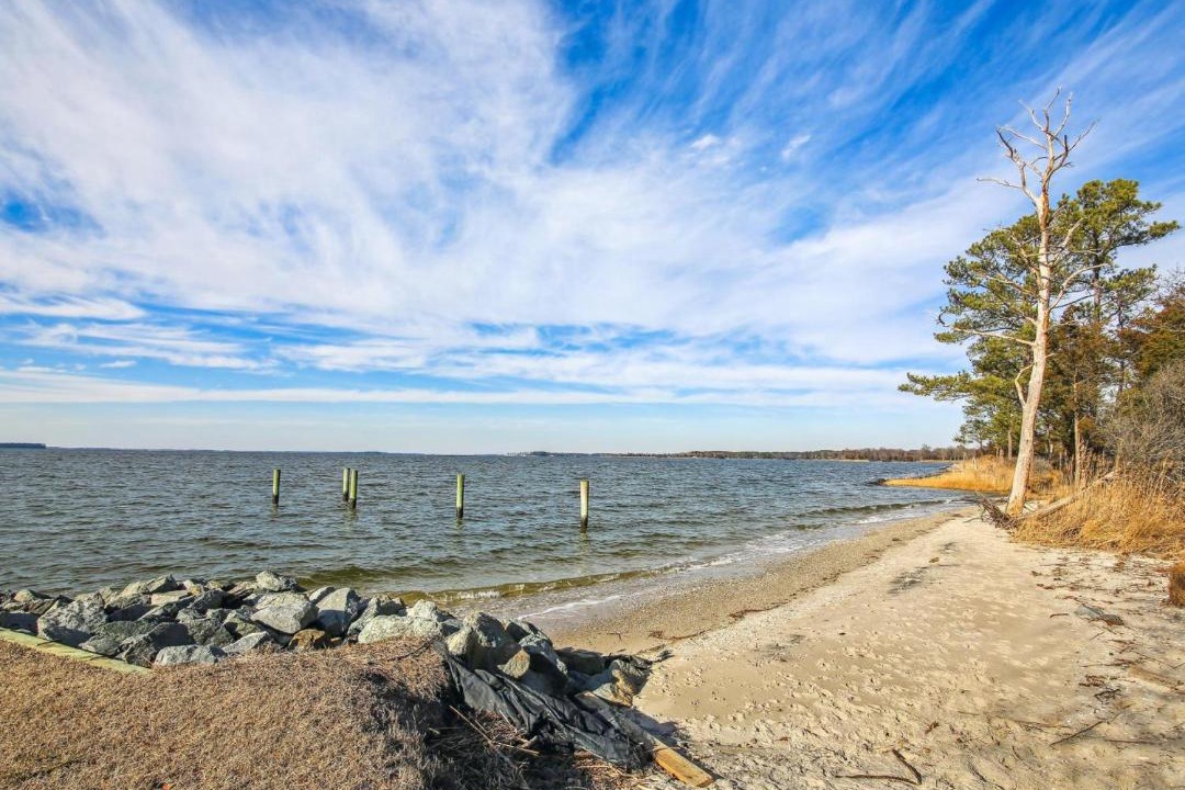 Photo of Others in Unionville