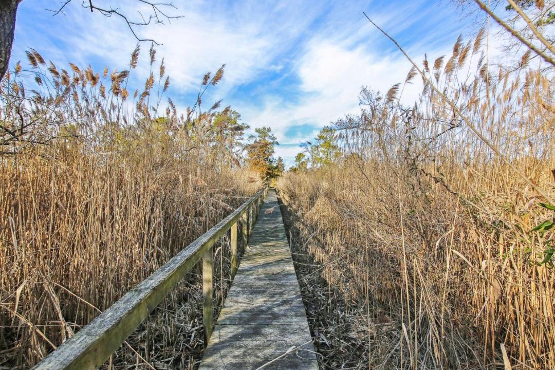 Photo of Others in Unionville