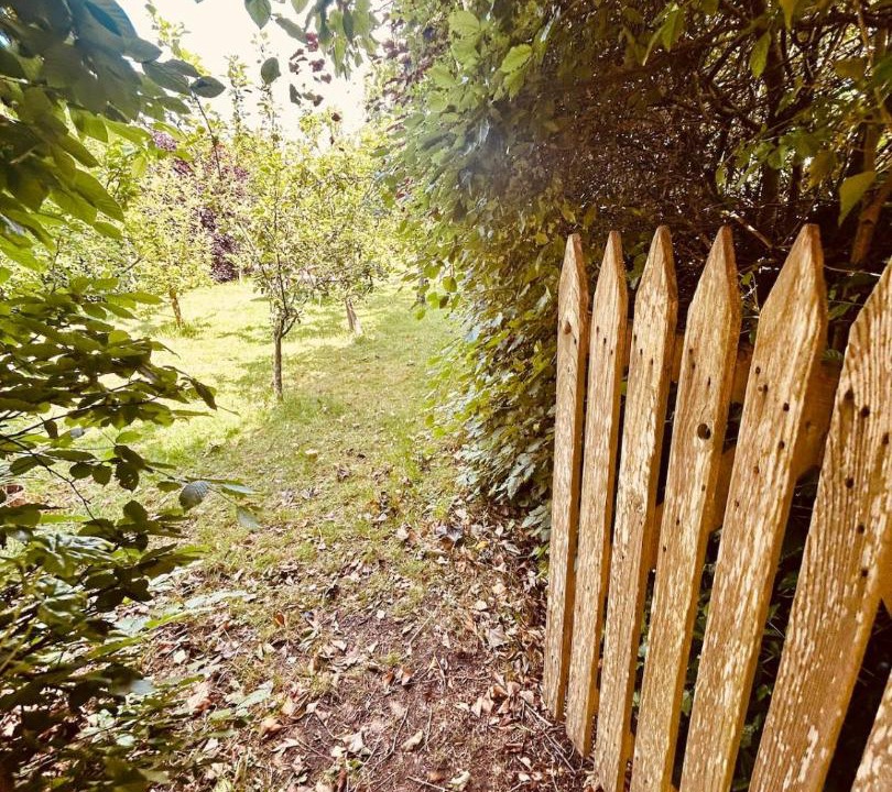 Photo of Others in St. Andrews