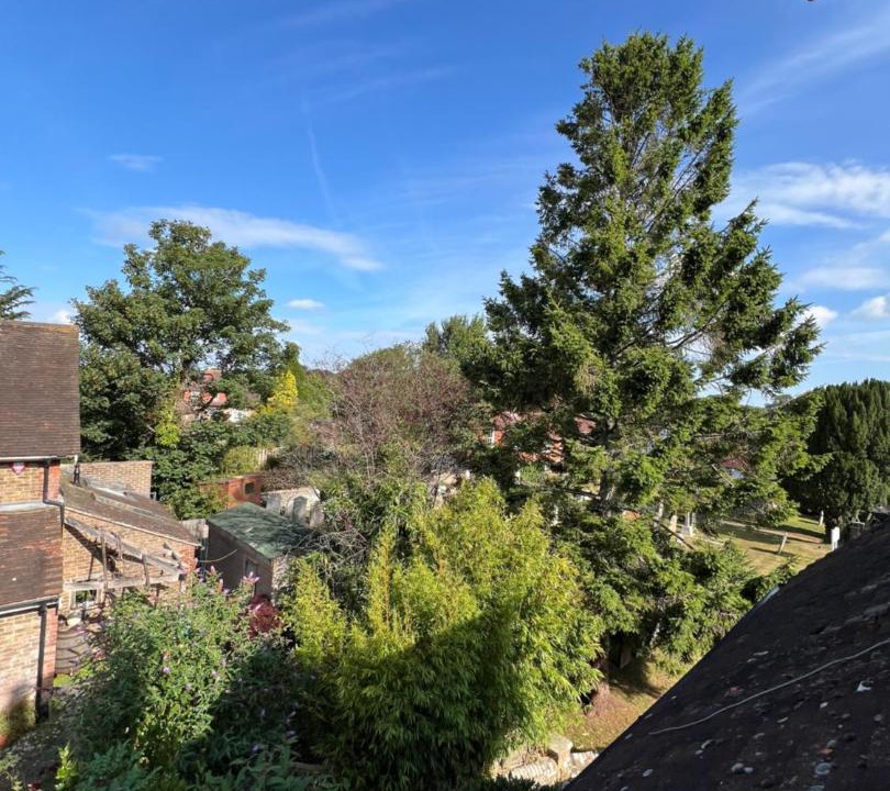 Photo of Others in Ditchling