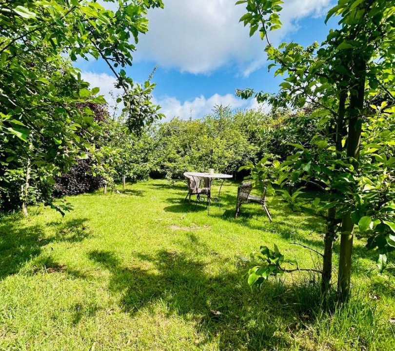 Photo of Outdoor in St. Andrews