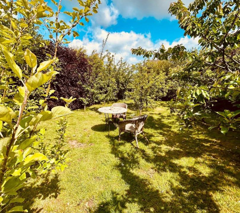 Photo of Others in St. Andrews