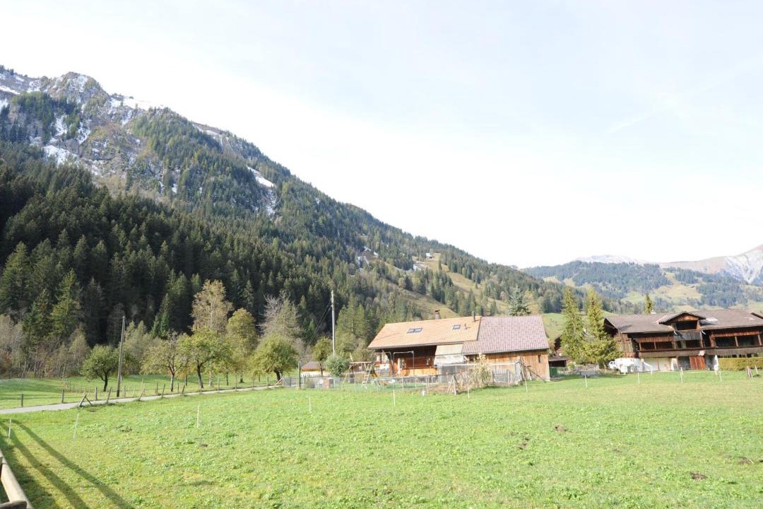 Photo of Others in Lenk