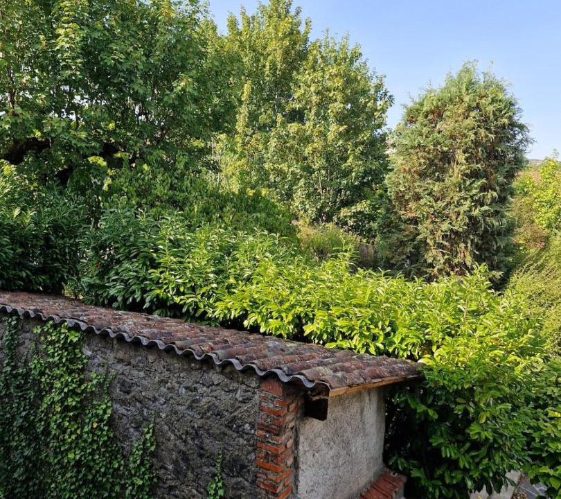 Photo of Others in Aurillac