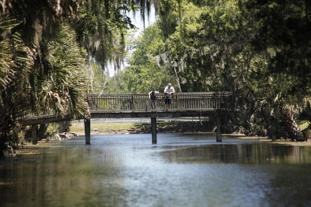 Photo of Others in Flagler Beach