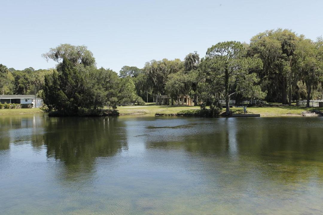 Photo of Others in Flagler Beach