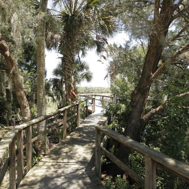 Photo of Others in Flagler Beach