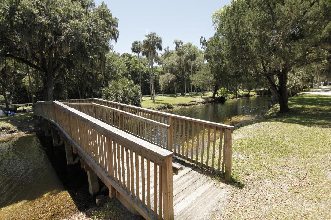 Photo of Others in Flagler Beach