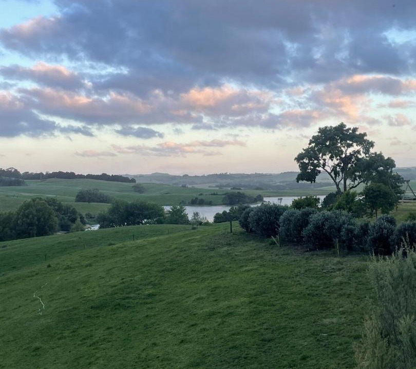 Photo of Others in Wellsford