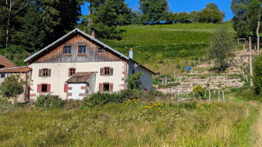 Photo of Others in Le Tholy