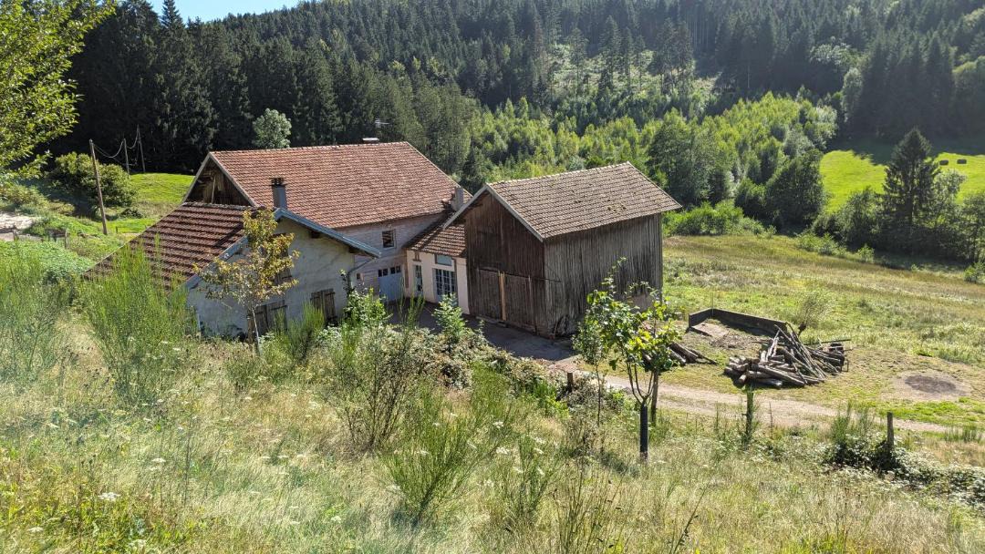 Photo of Others in Le Tholy