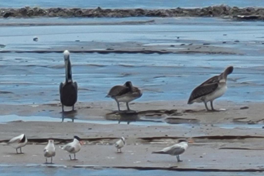 Photo of Others in Bay City