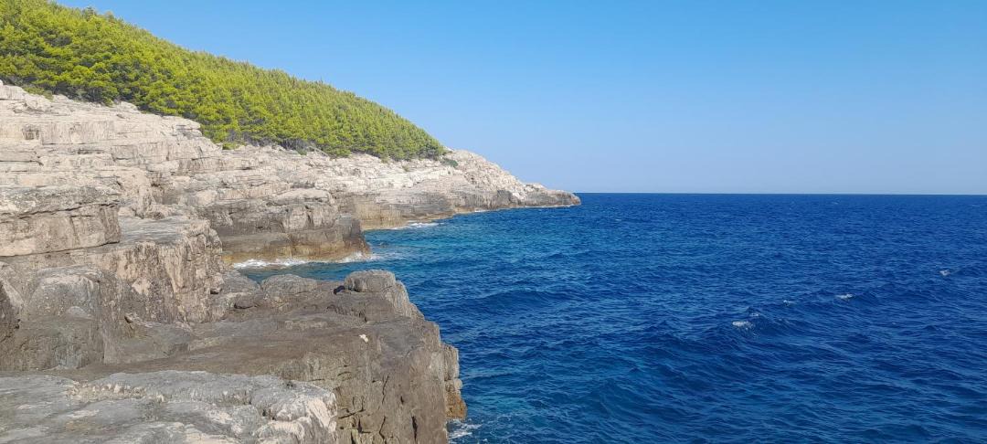 Photo of Others in Mljet