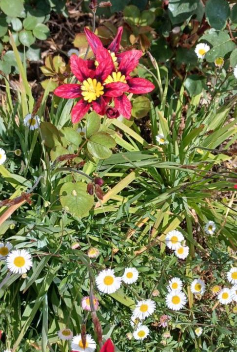 Photo of Others in Figanieres