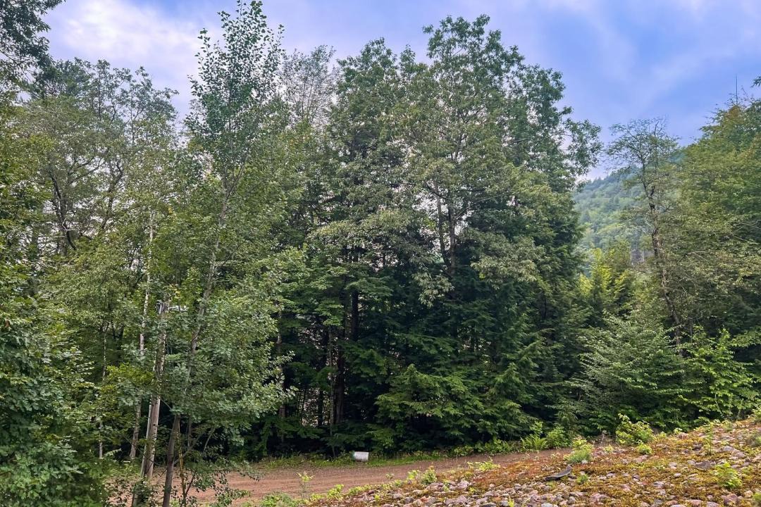 Photo of Outdoor in North Woodstock