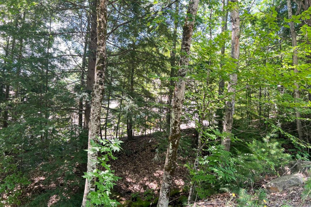 Photo of Others in North Woodstock