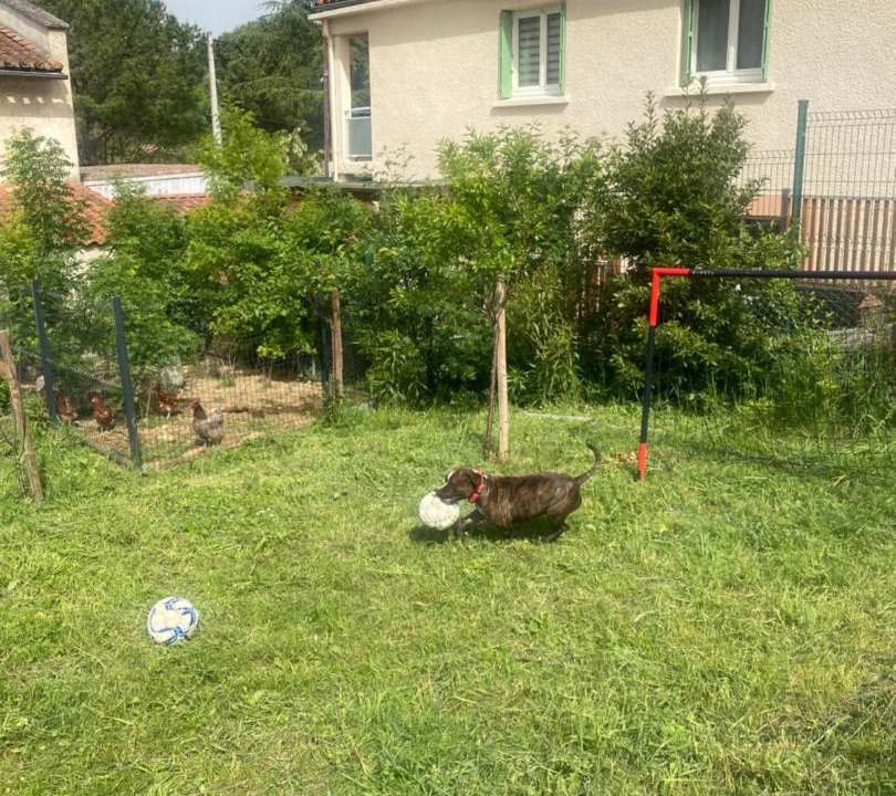Photo of Others in Pieusse