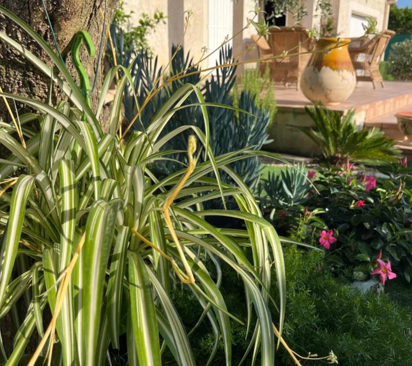 Photo of Others in Boisseron