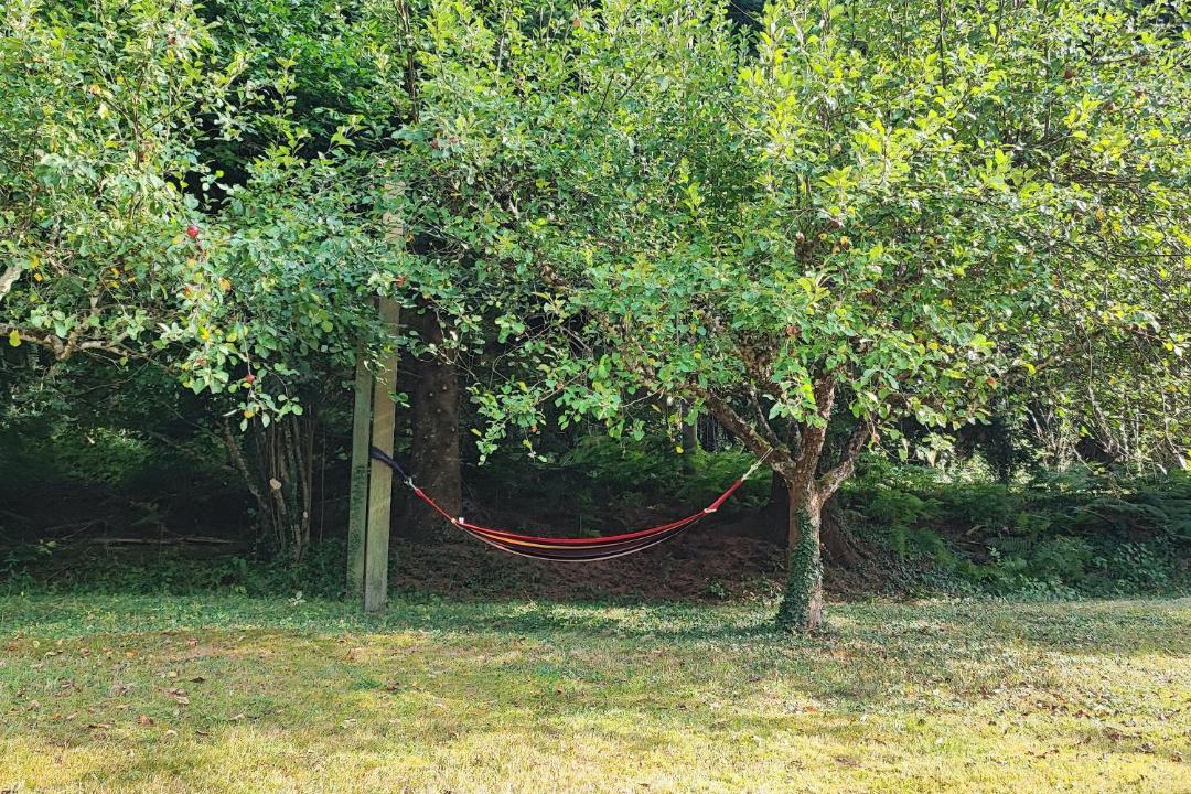 Photo of Outdoor in Angles