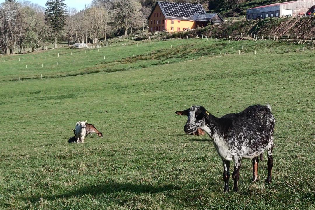 Photo of Others in Wisembach