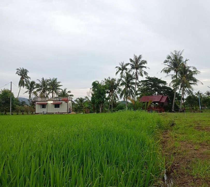 Photo of Others in Kampung Pondok