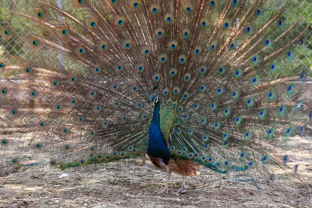 Photo of Others in Marnand