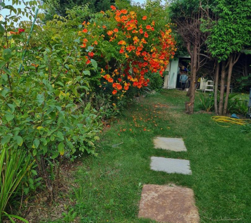 Photo of Others in Le Rosais-La Flourie