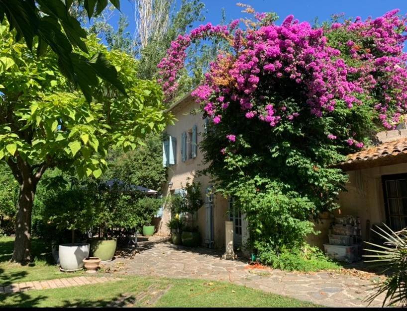 Photo of Others in Le Pradet