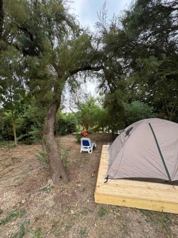 Photo of Others in Esnandes