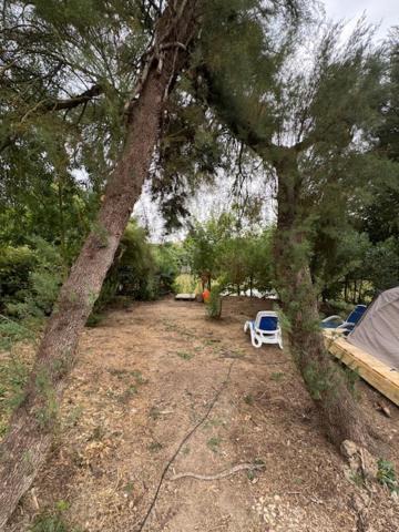 Photo of Others in Esnandes