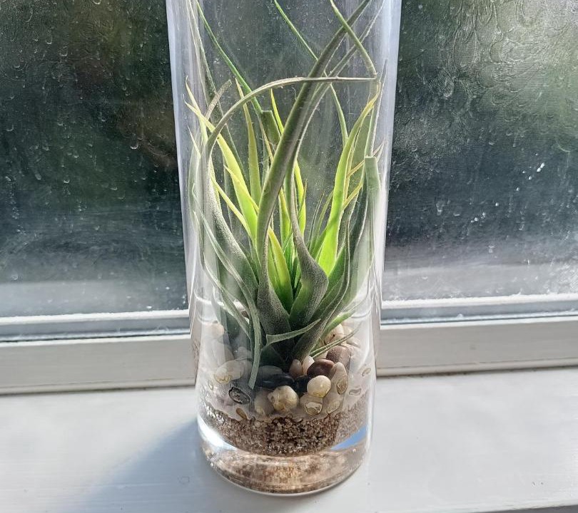 Photo of Others in Poole