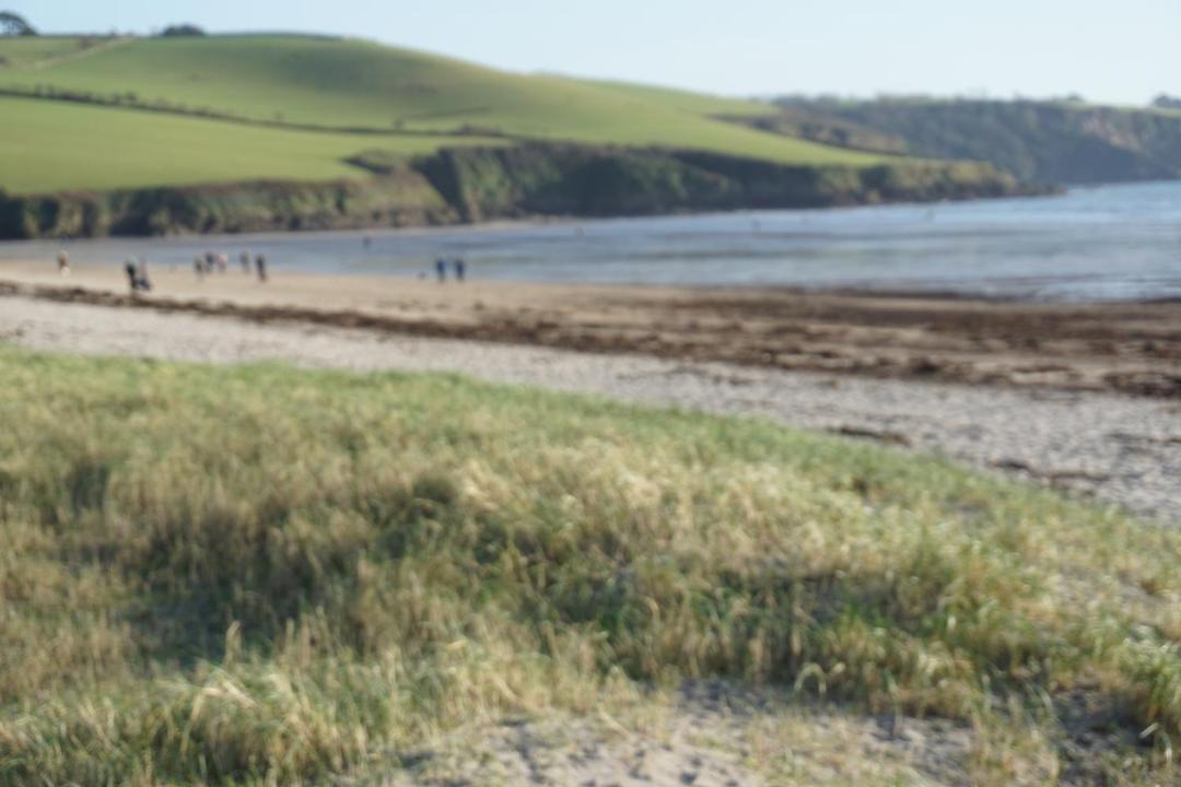 Photo of Others in Par