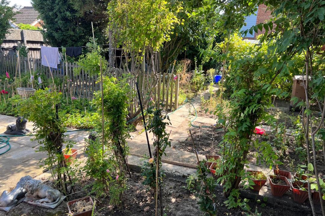 Photo of Others in Felixstowe