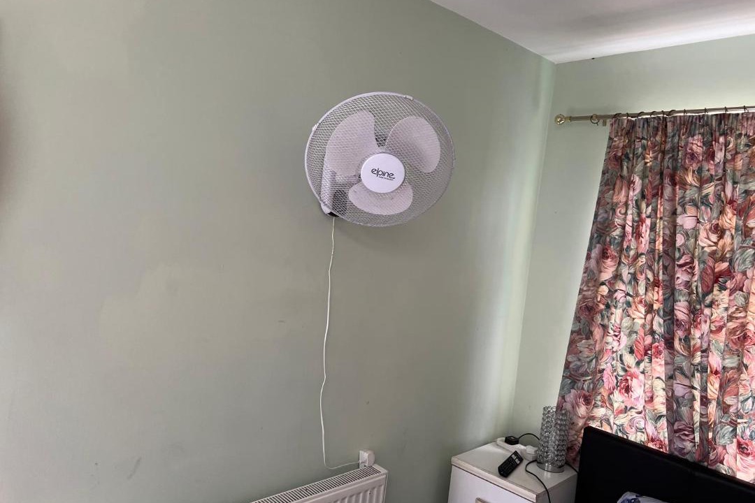 Photo of Others in Felixstowe