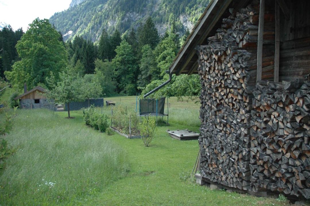Photo of Others in Blausee