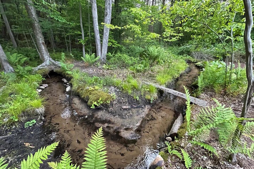 Photo of Others in Spring Lake