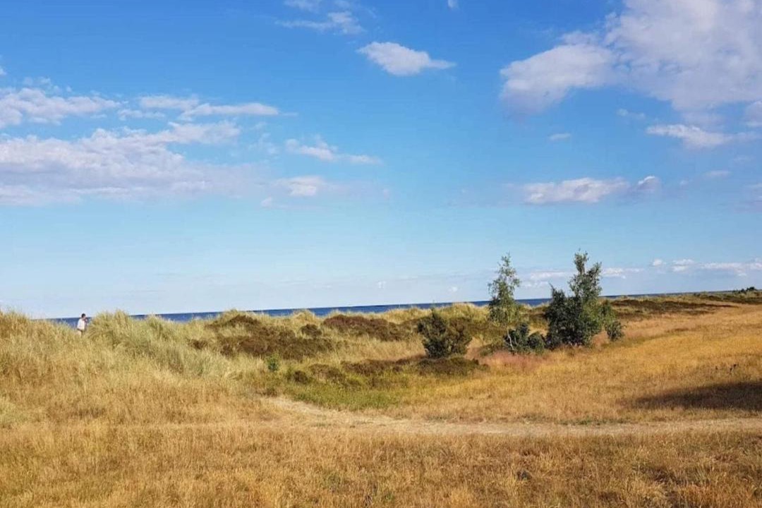 Photo of Others in Bøtø By