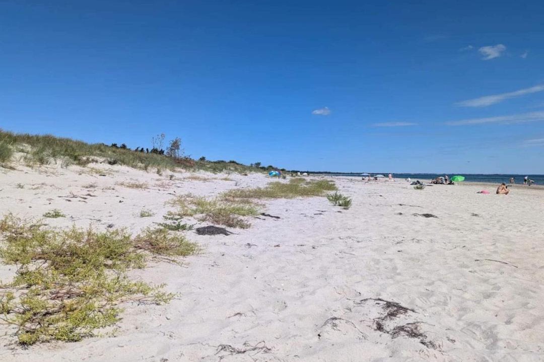 Photo of Others in Bøtø By
