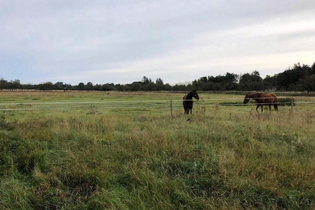 Photo of Others in Haslevgarde