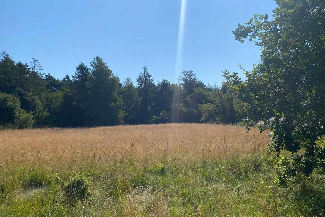 Photo of Others in Haslevgarde